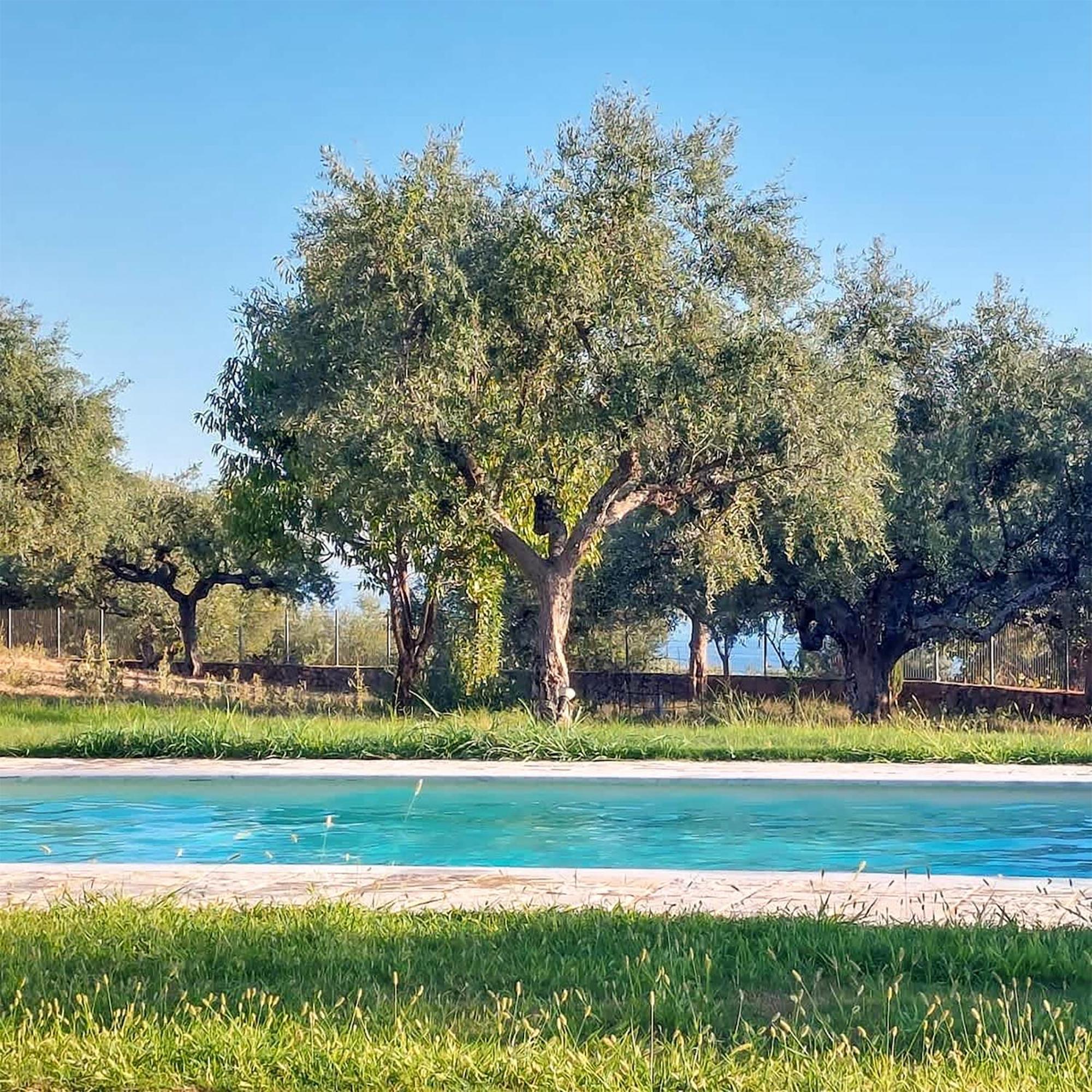Villa Eleni Proástion Esterno foto